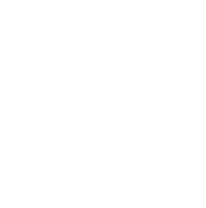 connector-Data.gouv (white)