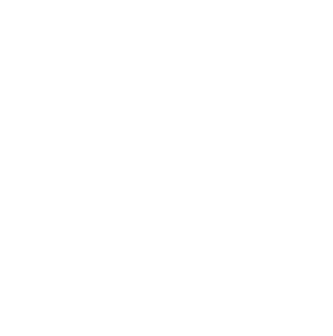 connector-Morningstar (white)