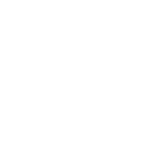 connector-PubMed (white)