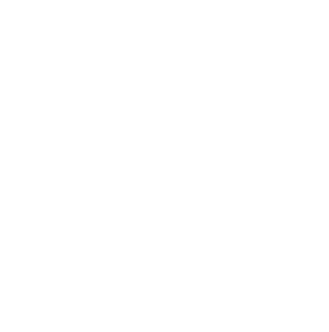 connector-Snowflake (white)